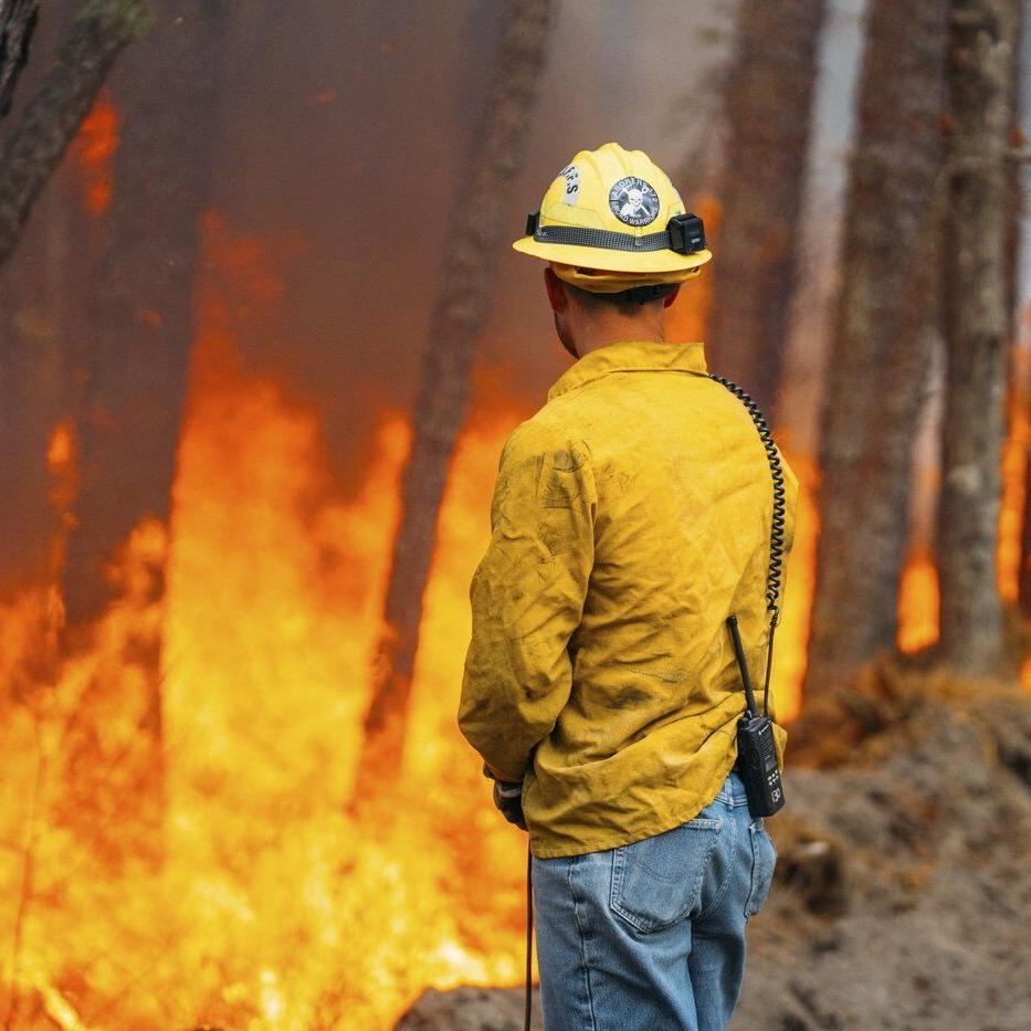 Firefighters in the Carolinas battle multiple wildfires as New Jersey crews contain a forest blaze